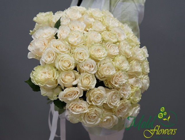 Роза белая голландская  50 см Фото